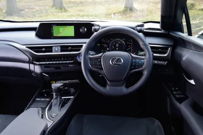 UX 250h